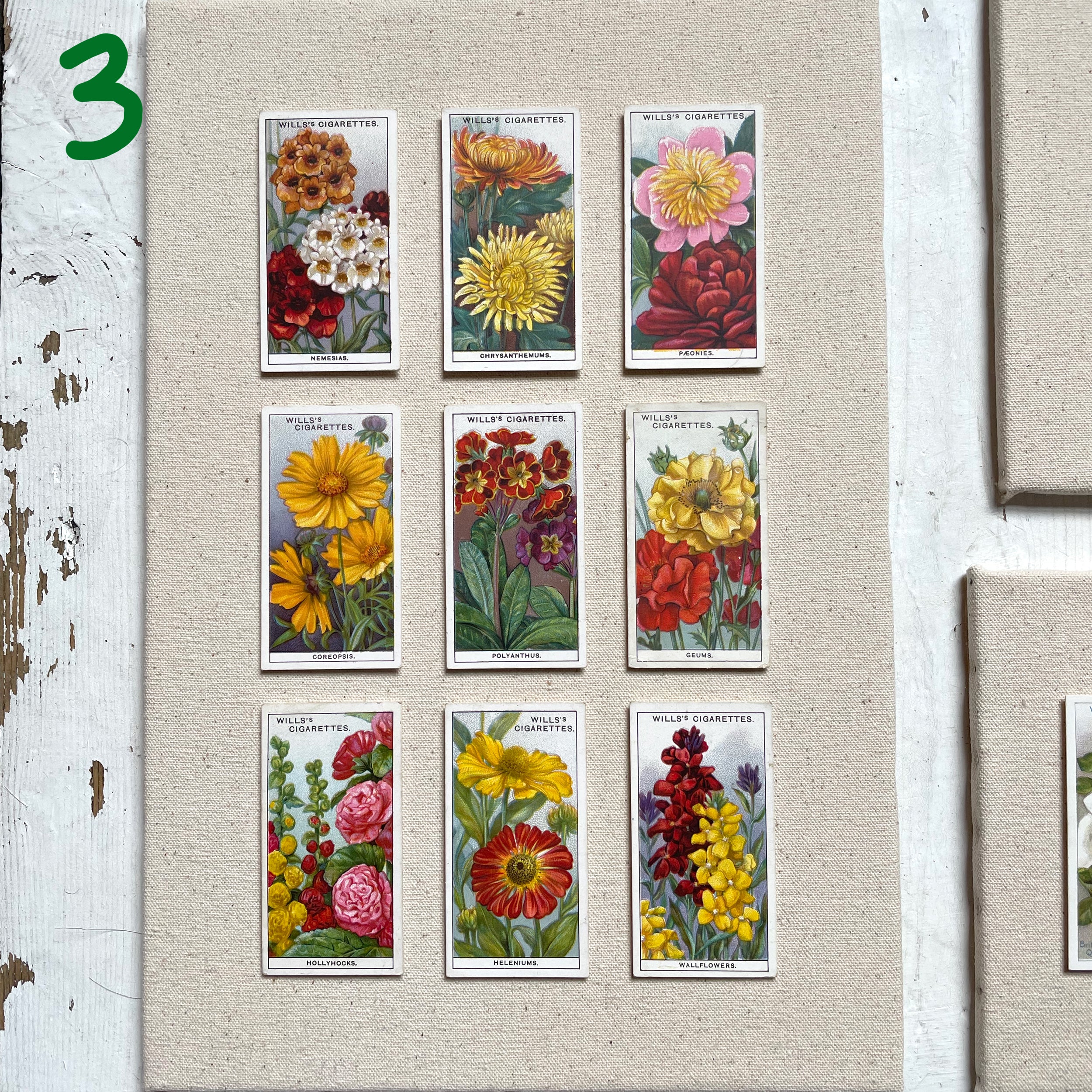 DISCONTINUED – Collectors Card Artwork (Unframed) – Garden Flowers & Roses